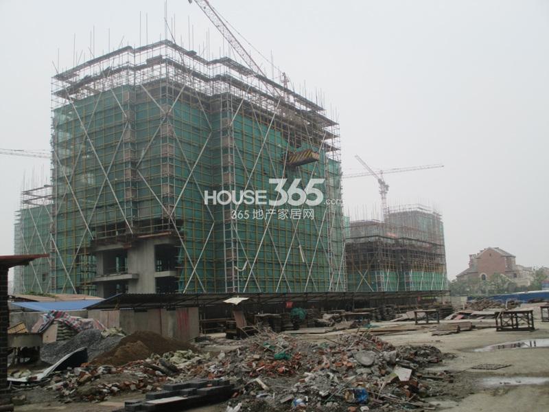 西溪海工程进度（2013.10）