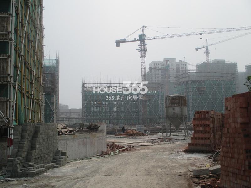 西溪海工程进度（2013.10）