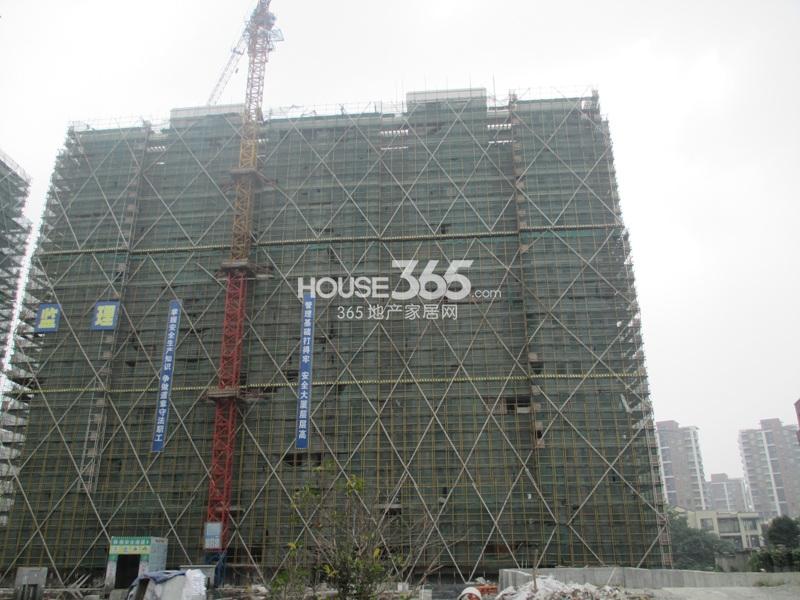 西溪海工程进度（2013.10）