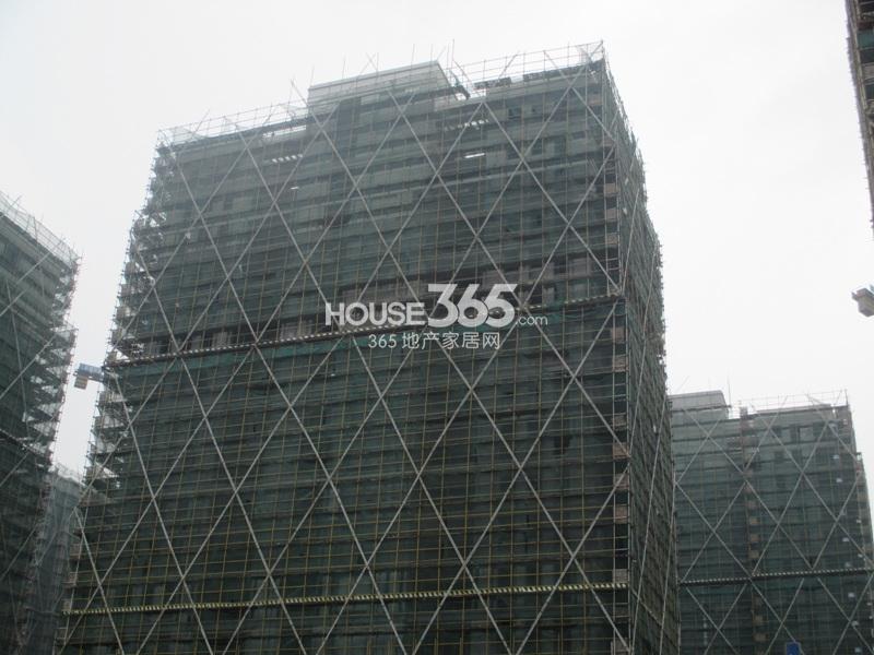 西溪海工程进度（2013.10）