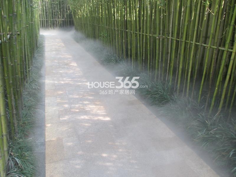 富力西溪悦居售楼处