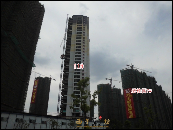 保利城市果岭实景图（2013.10）