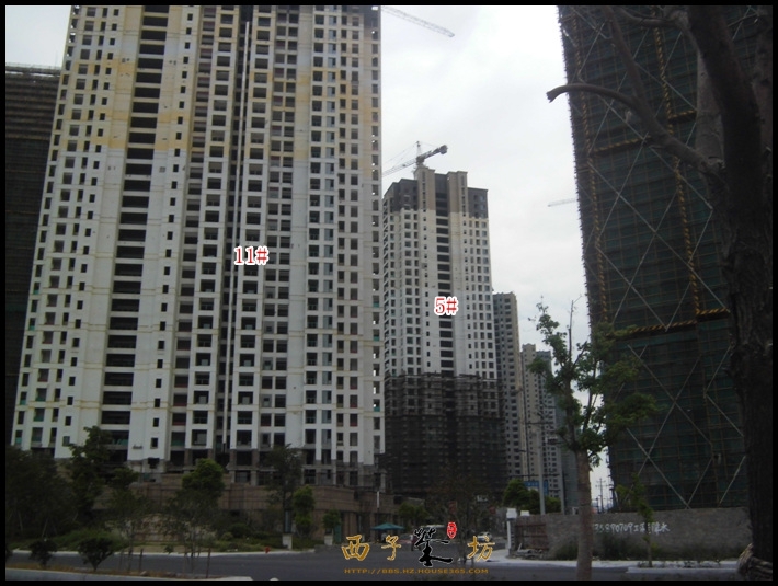 保利城市果岭实景图（2013.10）