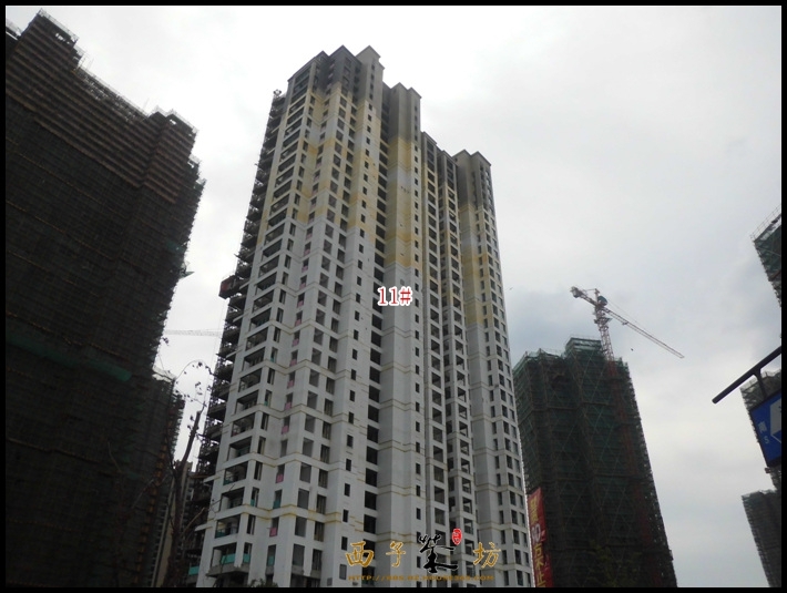 保利城市果岭实景图（2013.10）