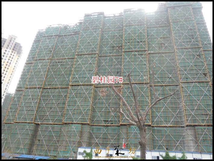 杭州碧桂园实景图（2013.10）