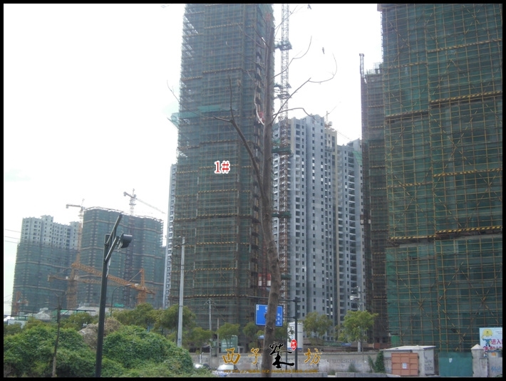 保利城市果岭实景图（2013.10）