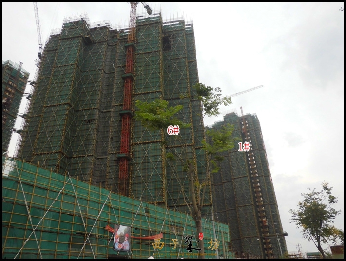 杭州碧桂园实景图（2013.10）