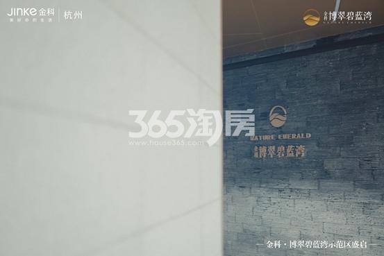 博翠碧蓝湾示范区开放