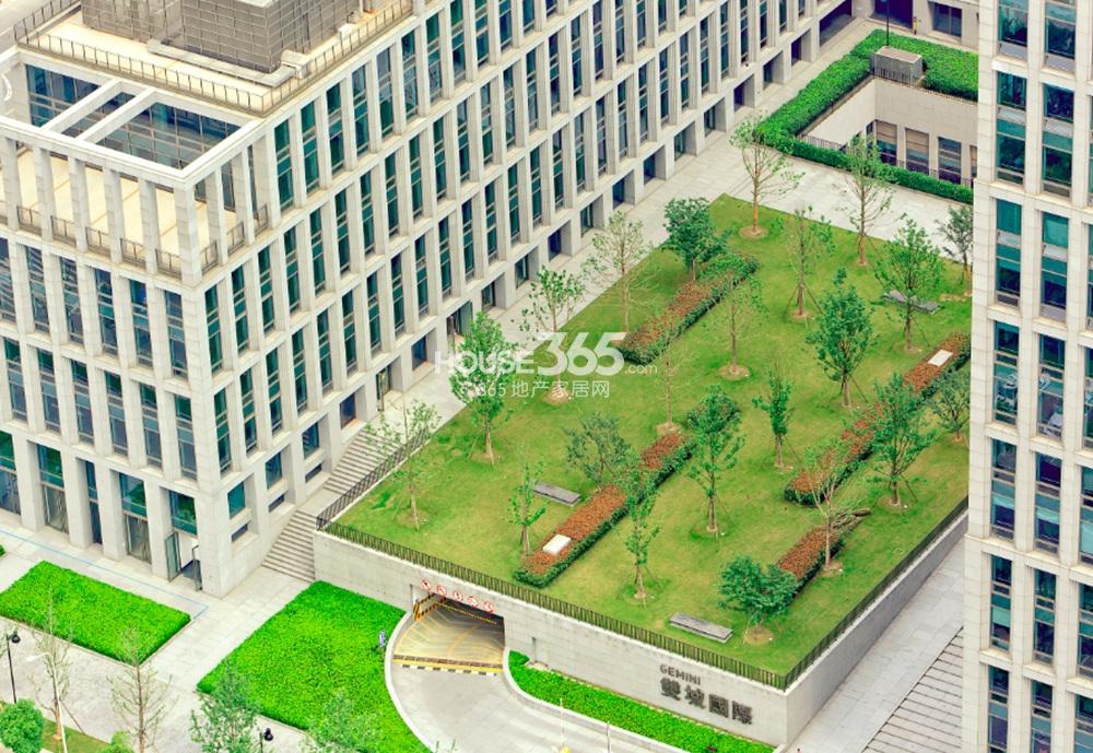 2013年浙大网新双城国际中心花园实景图