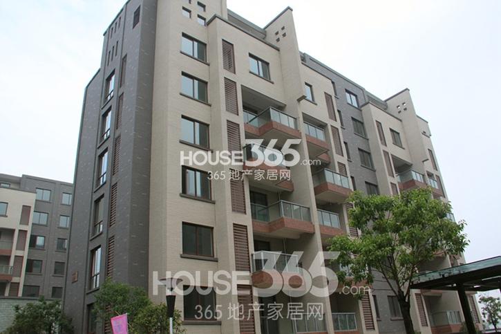 北湖绿洲花园实景图