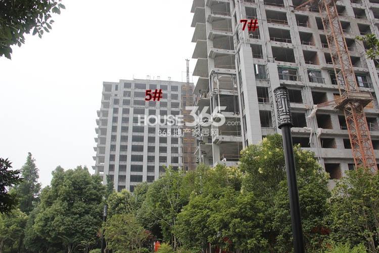 2014年6月武林外滩项目实景--5、7号楼