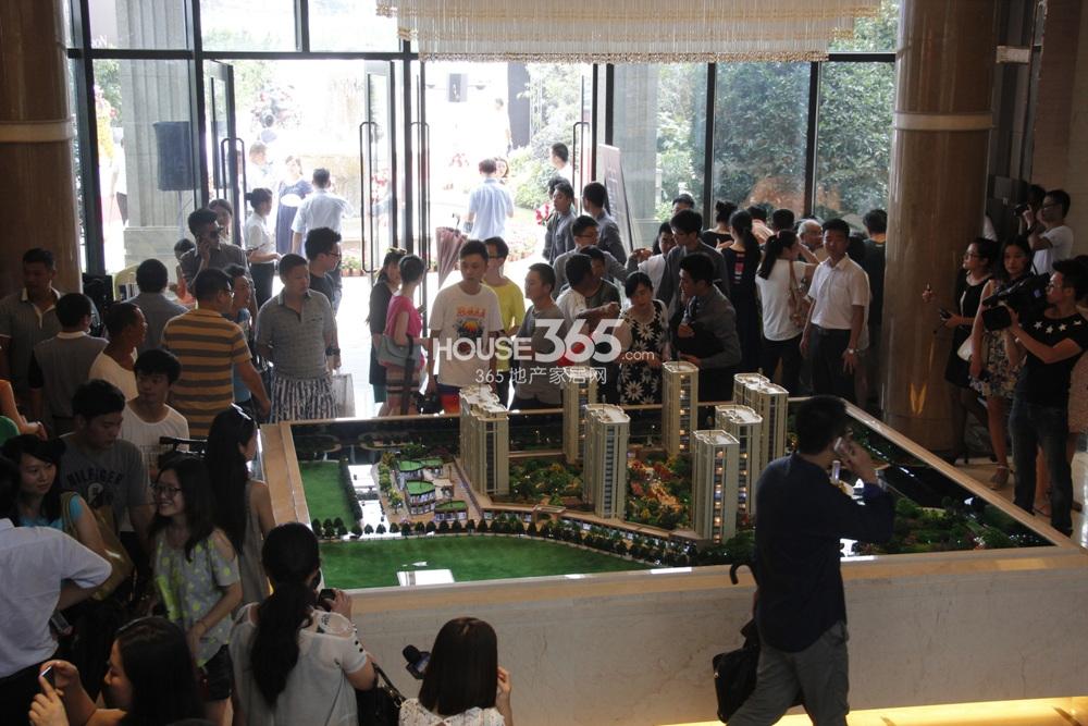 2014.7.12花园道壹号项目展示中心开放现场