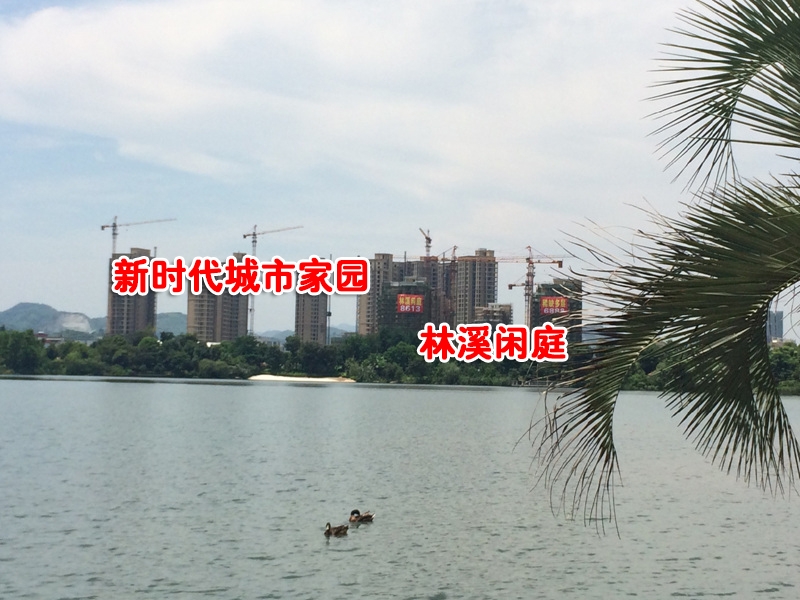 东海闲湖城印象加州周边林溪闲庭、新时代城市家园 2014.7