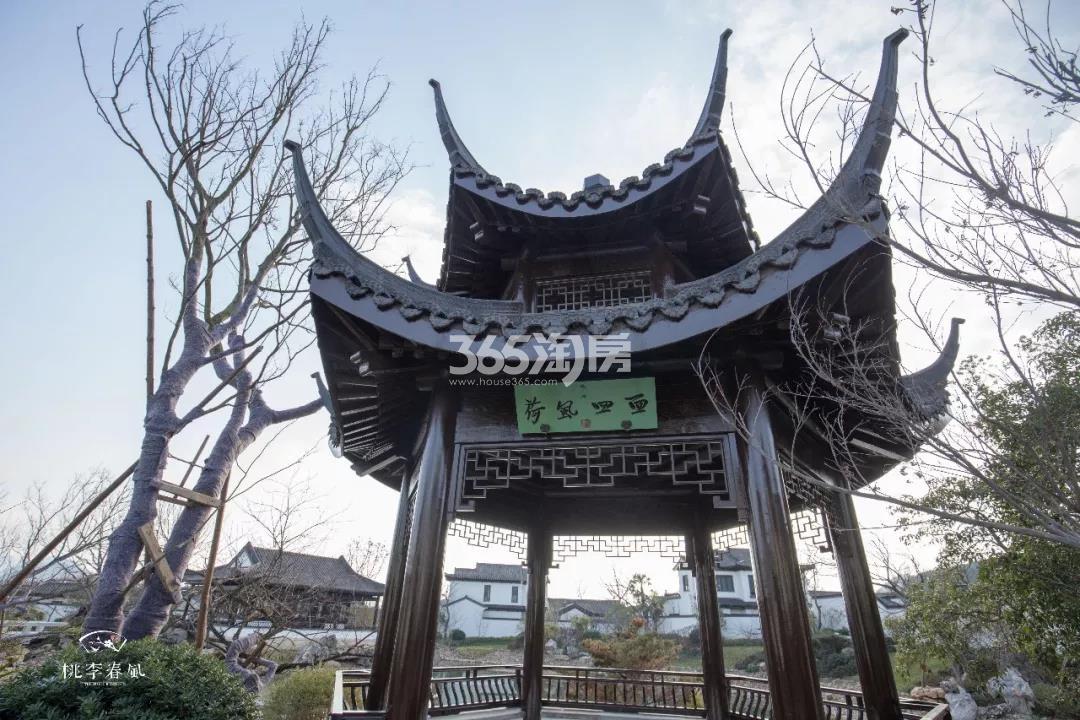 青云山居青云山居桃李春风实景（2019.01）
