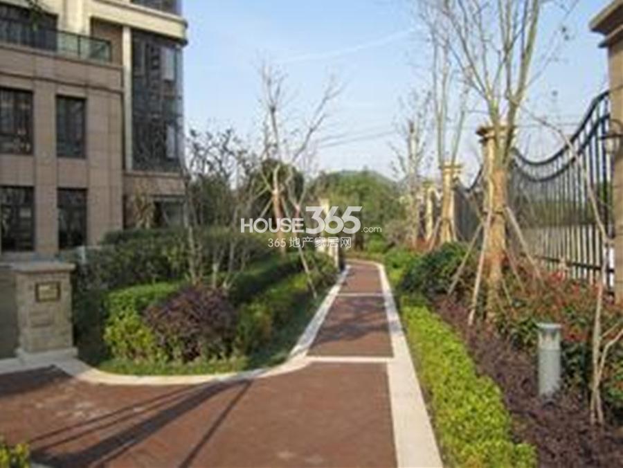 中粮云涛名苑园区景观带实景图