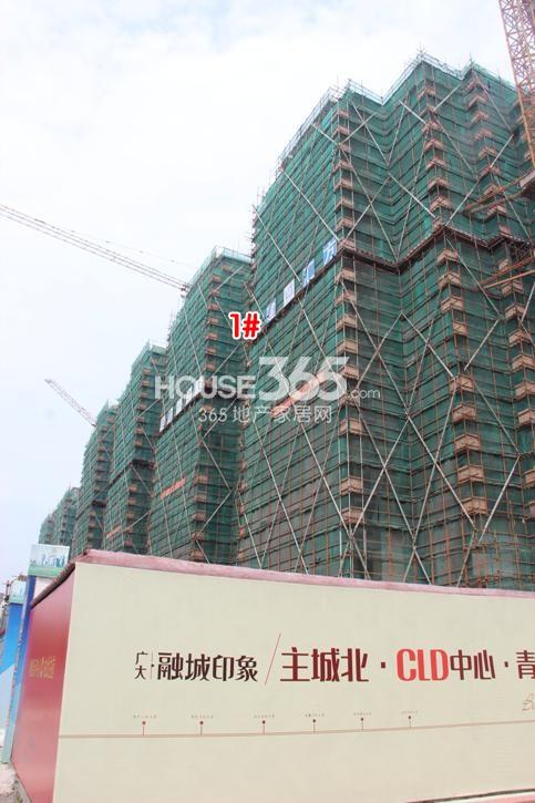 广大融城印象1号楼现场施工实景图  2014.8摄