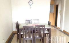 【可做员工宿舍 金陵饭店 中心大酒店 明日大酒