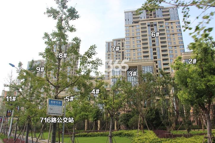 中粮云涛名苑2-9、11号楼施工实景图 2014年8月摄