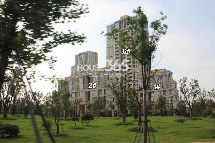 中粮云涛名苑1、2、6号楼施工实景图 2014年8月摄