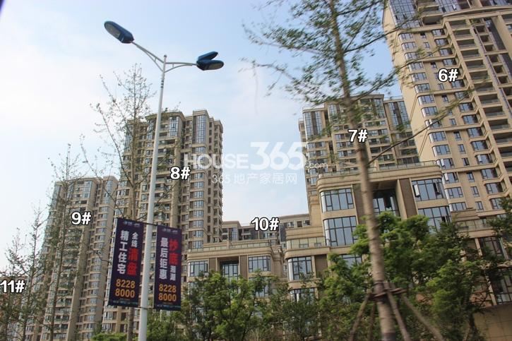 中粮云涛名苑6-11号楼施工实景图 2014年8月摄