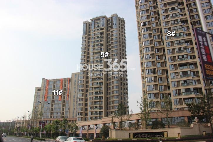 中粮云涛名苑8、9、11号楼施工实景图 2014年8月摄 