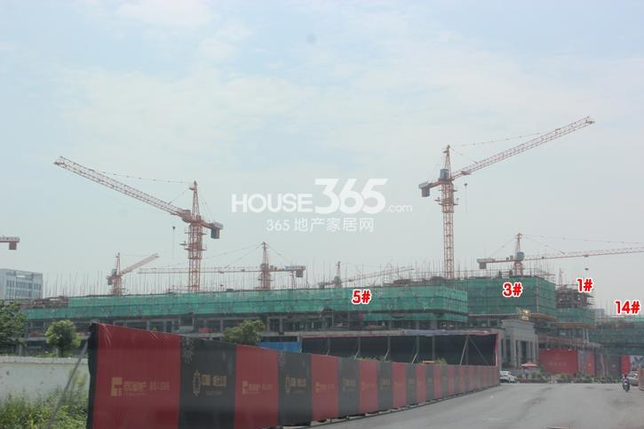 天阳晴朗1、3、5、14号楼施工现场实景图 2014年8月摄
