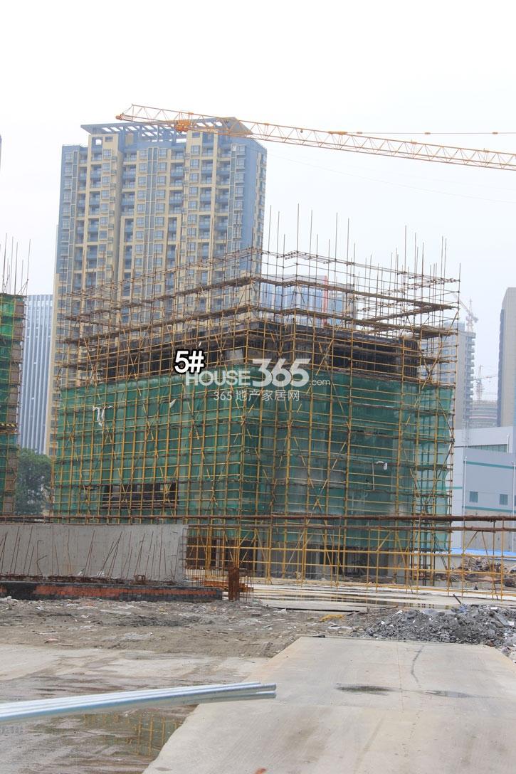 滨江金色江南5号楼施工现场实景图 2014年8月摄