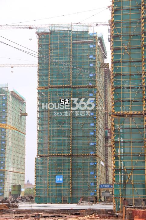 金地格林格林5号楼施工实景图 (2014年9月摄）