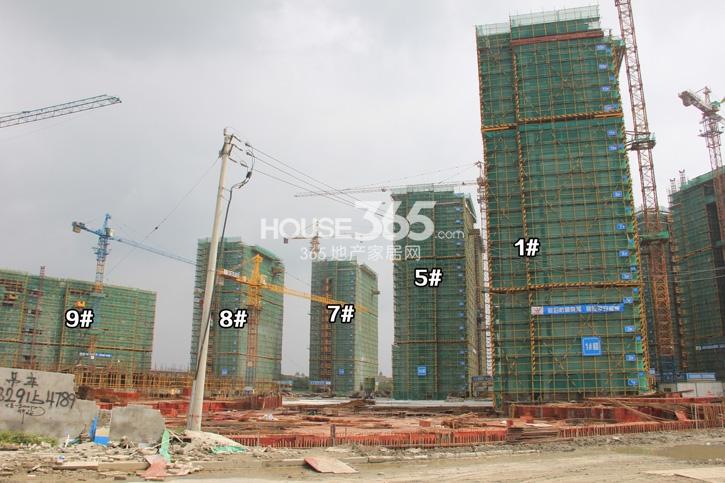 金地格林格林1、5、7-9号楼施工实景图 (2014年9月摄）