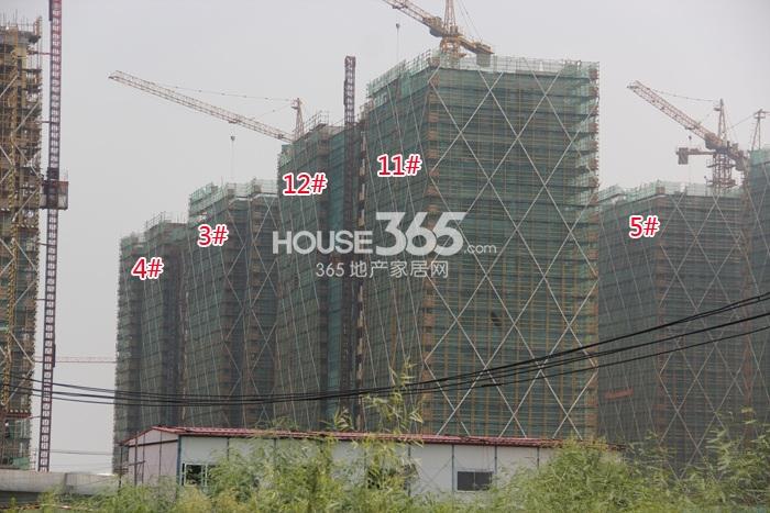 世茂东壹号3、4、5、11、12号楼施工实景图 2014年9月摄 