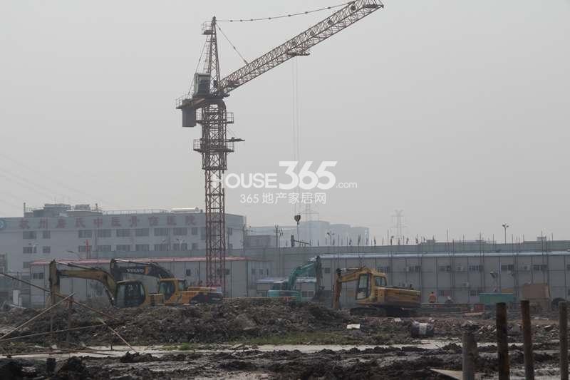 2014年10月下旬紫元尚堂项目施工现场实景