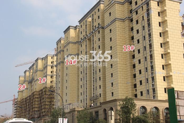 世茂东壹号1、2、13、14号楼施工实景图 2014年10月摄 