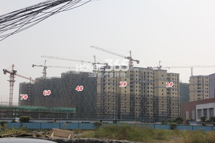 世茂东壹号1、2、4、6、7号楼施工实景图 2014年10月摄