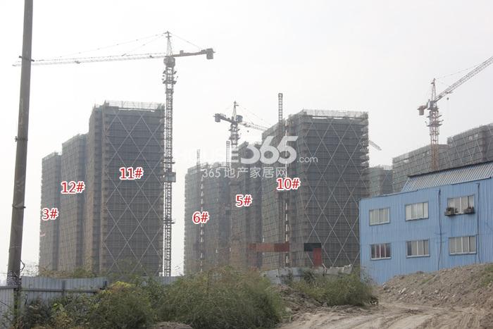 世茂东壹号3、5、6、10、11、12号楼施工实景图 2014年10月摄 
