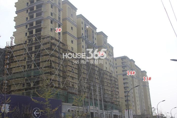 世茂东壹号1、2、13、14号楼施工实景图 2014年10月摄