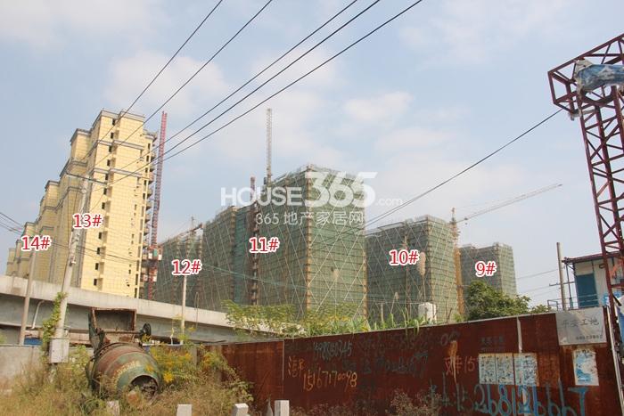 世茂东壹号9-14号楼施工实景图 2014年10月摄 