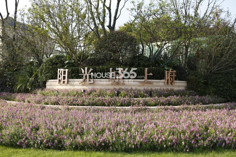 阳光城上府项目现场实景图 2014年10月18日摄 