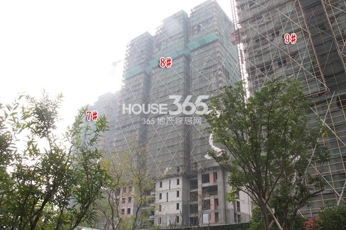 保亿风景晨园7、8、9号楼施工进程（2014.11）