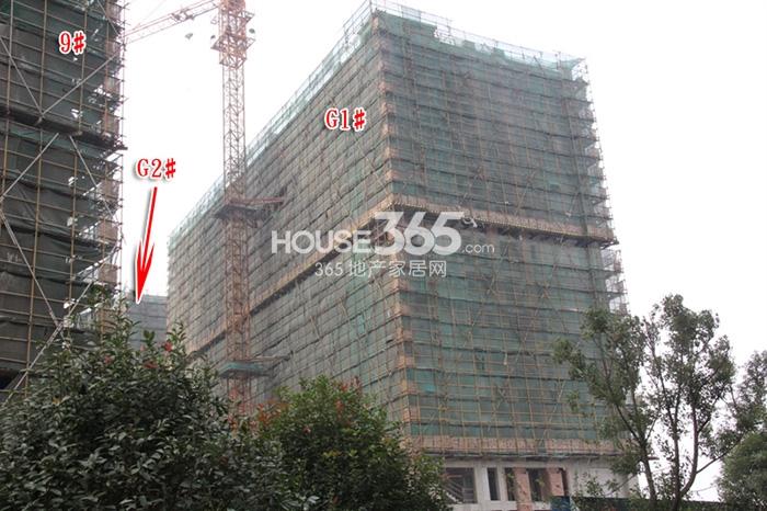保亿风景晨园9、G1、G2号楼施工进程（2014.11）