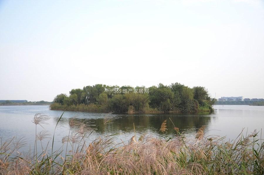 科尔世纪外滩周边配套——中国水利博物馆周边的湖景