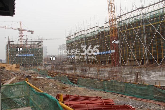 绿城九龙仓钱塘明月1、3、4号楼实景图 2014年11月摄