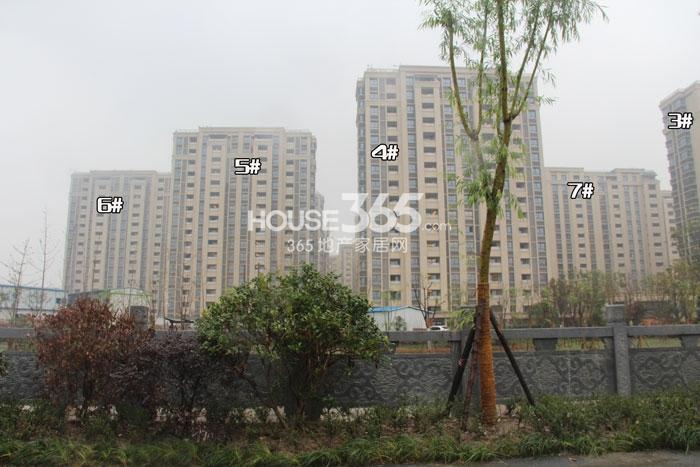 万科紫台3、4、5、6、7号楼施工实景图 2014年11月摄