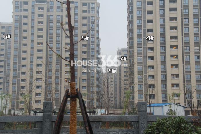 万科紫台4、5、6、7、9号楼施工实景图 2014年11月摄