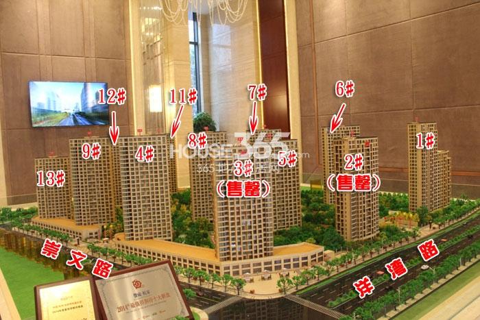 赞成杭家鸟瞰图