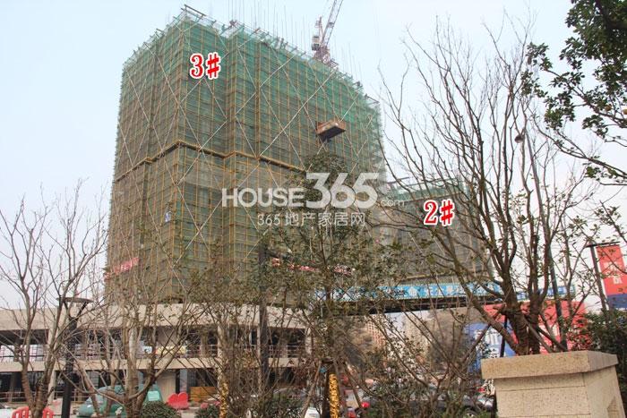 赞成杭家2、3#进度 2014.11