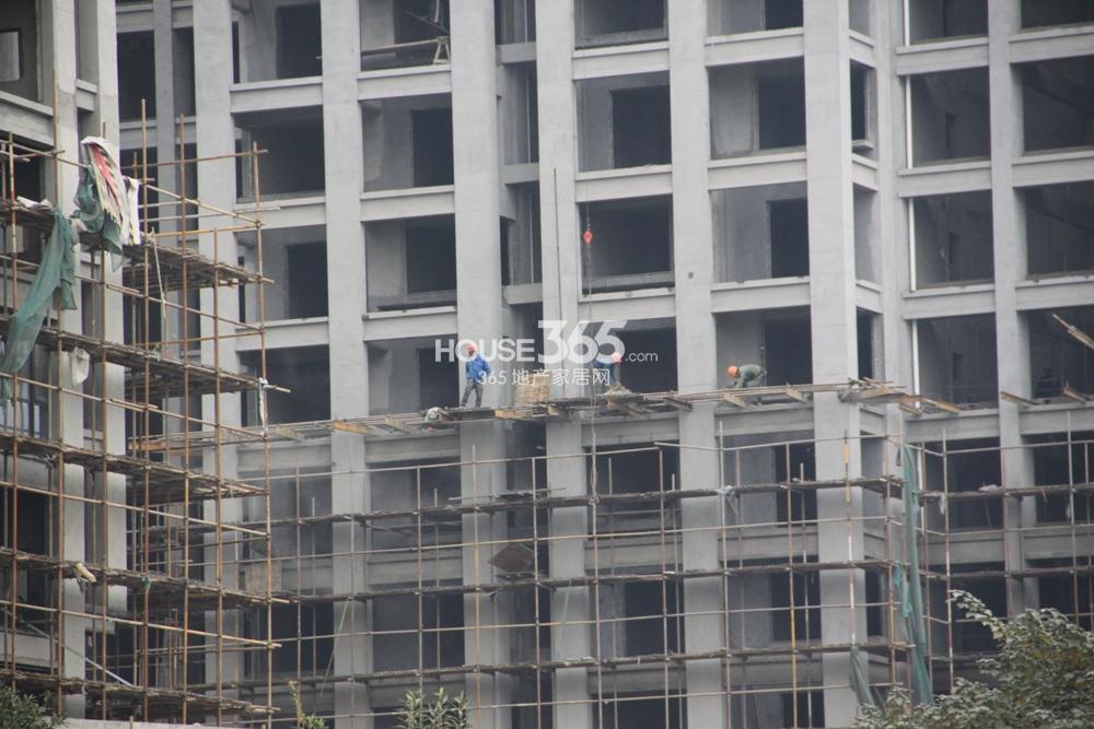 2014年11月下旬玲珑府项目住宅实景--局部特写