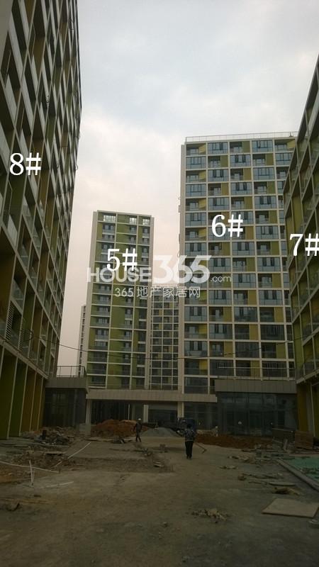 2014年11月底杭州新天地项目实景--“世嘉新座”5-8号楼