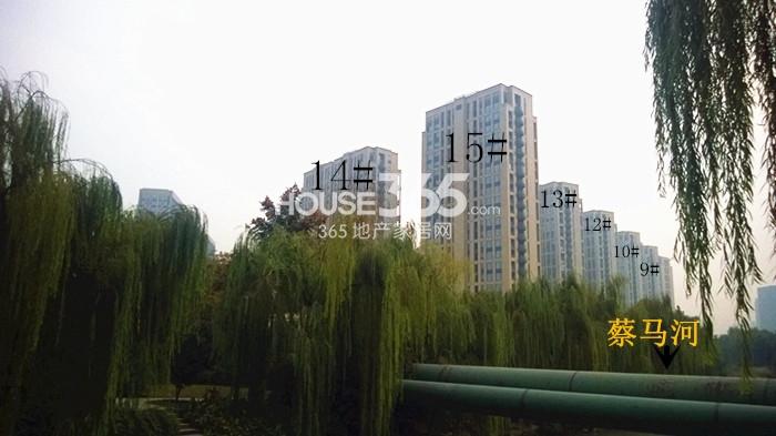 2014年11月底中国铁建国际城项目实景--9、10、12-15号楼