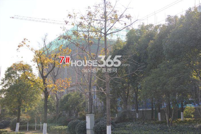 2014年12月底绿地旭辉城项目实景--7号楼