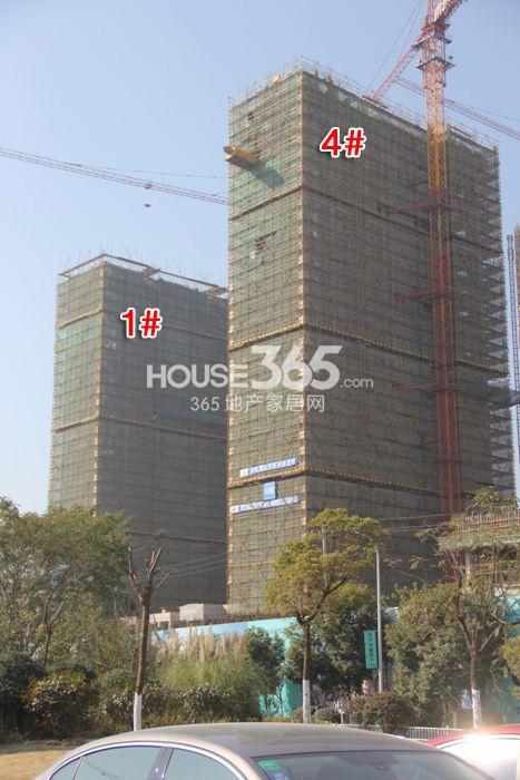 2014年12月底莱蒙水榭春天项目实景--1、4号楼